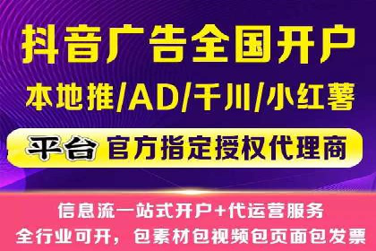 案例对比：SEO与SEM优化效果深度分析