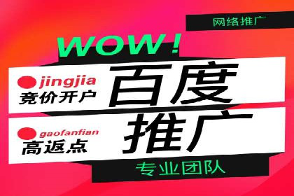 实战经验：SEM网络推广打造行业领军品牌